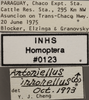 Other: !! display not done !! on Antoniellus irrorellus Linnavuori, 1959: Labels. (Observation).