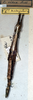 CollectionObject 1557062; dc9e85fd-28a5-4f40-a09e-93612e770d9e: copyright NMW, Vienna. female of synonym Anisacantha vidua (holotype). (CollectionObject).