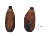 Tropidoderus Gray, 1835: copyright Paul D. Brock. Eggs of Tropidoderus childreni [type species]. (Otu).