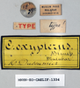 CollectionObject 1540638; 2af90a03-21c7-4d9d-a880-5d0b119aa5f7: labels (syntype). (CollectionObject).