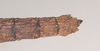 CollectionObject 1557779; NHMUK(SF IMPORT DUPLICATE) 845244, b5302473-0a3a-469d-93bd-4ffa740460f2: copyright Natural History Museum, London. female: end of abdomen, dorsal view (holotype). (CollectionObject).