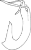 Aedeagus, lateral view on Eurhadina (Eurhadina) betularia Anufriev, 1969: Aedeagus, lateral view. (Observation).