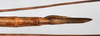 CollectionObject 1562689; 3bbbe859-9664-4566-ad6e-06c649b7a7b9: copyright QM. female: end of abdomen, ventral view (holotype). (CollectionObject).