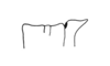 Anablysis pantherina Gerstaecker, 1889: Fig. 29. male pronotum, lateral view. (Otu).
