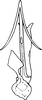Aedeagus, ventral view on Anufrievia grisea Dworakowska, 1976: Aedeagus, ventral view. (Observation).