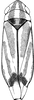 Habitus, dorsal view on Erythridula praecisa (Knull, 1946): Habitus. (Observation).