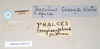 CollectionObject 1561031; NHMUK(SF IMPORT DUPLICATE) 845178-845179, de869378-04ec-471e-8e79-2962a388ba6d: copyright Natural History Museum, London. female, data labels of synonym Bacillus coccyx (syntype). (CollectionObject).