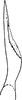 Pygofer ventral appendages, ventral view: Pygofer process, ventral view. (Observation).