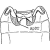 Abdomen, tergite II apodemes: !! display not done !! on Empoasca (Empoasca) loreta Ross, 1959: Abdomen, tergite II apodemes. (Observation).