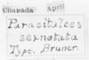 CollectionObject 1596937; cf37642d-9c61-4a1b-96b9-ecea6e543900: labels (syntype). (CollectionObject).