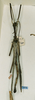 CollectionObject 1557046; 527a836b-3347-4dd4-93d7-e5026b91be2e: copyright CUMZ, Cambridge. male Anchiale stolli (syntype). (CollectionObject).