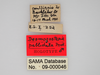 CollectionObject 1863293; f97b67f2-9310-4109-9f58-7ebef46ec0f2: (CollectionObject).