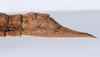 CollectionObject 1558667; 4c1283d3-5c69-48f0-907c-0a26541edf56: copyright ANSP. female: end of abdomen, lateral view (paratype). (CollectionObject).;CollectionObject 1558668; 53b5e2cf-faaf-4cbc-9668-7322266d8aa3: copyright ANSP. female: end of abdomen, lateral view (paratype). (CollectionObject).