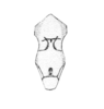 Achurum sumichrasti (Saussure, 1861): Pl. I, Fig. 2c. female, sternum. (Otu).