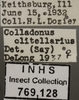 Other: !! display not done !! on Colladonus clitellarius (Say, 1831): Labels. (Observation).