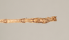 CollectionObject 1561065; NHMUK(SF IMPORT DUPLICATE) 844547, ec084b81-db80-4f71-a812-29f808de63c5: copyright Natural History Museum, London. male: end of abdomen, ventral view (holotype). (CollectionObject).