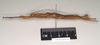 CollectionObject 1563046; 249af9de-89b5-4f87-896d-32fe89bf2e2c: copyright Natural History Museum, London. male, lateral view (paratype). (CollectionObject).;CollectionObject 1563047; 90a510f9-0544-463a-908a-75f3af89a640: copyright Natural History Museum, London. male, lateral view (paratype). (CollectionObject).;CollectionObject 1563048; aadcb565-85d8-4fca-b0ca-4c228a6069cb: copyright Natural History Museum, London. male, lateral view (paratype). (CollectionObject).