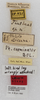 CollectionObject 1532390; NMW 25821, d93704f0-4f1b-473c-95b2-75fb89461e23: labels (neoallotype). (CollectionObject).