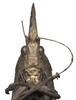 CollectionObject 1533183; 7be62e41-b2e9-450f-813a-e060cec74df2: male head, frontal view (holotype). (CollectionObject).