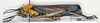 CollectionObject 1580392; 68a48329-4b47-4a7f-aca7-2f6b68d6ab16: female, lateral view (paralectotype of Phymateus buyssoni spinosus). (CollectionObject).