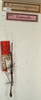 CollectionObject 1561508; 1808663b-83c4-4fff-b9b5-cc838e5ebf8b: copyright NMW, Vienna. male (lectotype). (CollectionObject).