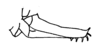 Ceuthophilus (Hemiudeopsylla) californianus Scudder, 1862: Fig. 178 (female from Berkeley, CA). ovipositor. (Otu).