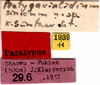 CollectionObject 1505053; aeb112f4-1c51-4abb-8ff1-be1971486153: labels (syntype). (CollectionObject).