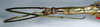 CollectionObject 1561728; e1ff4eca-3d0a-4a18-971a-dcff293ca2bc: mcopyright NMW, Vienna. female: head and thorax, lateral view (syntype). (CollectionObject).;CollectionObject 1561729; 7acfe17d-1116-4755-9345-333ef879d515: mcopyright NMW, Vienna. female: head and thorax, lateral view (syntype). (CollectionObject).