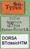CollectionObject 1500454; 7247790b-5146-4f37-b2b6-1dec33d2b0a1: labels (holotype). (CollectionObject).