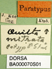 CollectionObject 1500305; 53efe292-2f59-40c5-94f7-007a38b70b95, DORSA BA000070S01: labels (syntype). (CollectionObject).