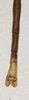 CollectionObject 1562791; cb861d4c-79e9-4bdd-bb3a-8153abaee492: copyright QMBA. male: end of abdomen, ventral view (paratype). (CollectionObject).