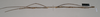 CollectionObject 1563479; NHMUK(SF IMPORT DUPLICATE) 845013, a98e78f0-0d25-4a81-bc07-04271a0eca8b: copyright Natural History Museum, London. female, lateral view (holotype). (CollectionObject).