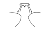 Adelotettix collaris (Bruner, 1908): Fig. 185. female vertex of fastigium, dorsal view. (Otu).