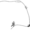 Pygofer, lateral view on Edwardsiana nigriloba (Edwards, 1924): Pygofer, lateral view. (Observation).