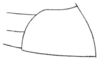 Pl. 13 Fig. 3. female, lateral outline of subgenital plate. Depicts Cycloptilum zebra (Rehn & Hebard, 1905), an Otu.