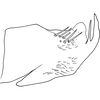 Pygofer, lateral view on Drabescus formosanus Matsumura, 1912: Pygofer, lateral view. (Observation).