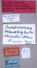 CollectionObject 1534517; ddce5745-606c-4dff-8207-20d30dc2e661: labels (holotype). (CollectionObject).