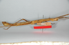 CollectionObject 1558433; b71adb15-a829-489c-ab99-7d1f8885dcaa: copyright ZMB, Berlin. female, lateral view of Dimorphodes carinatus (syntype). (CollectionObject).