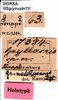 labels (holotype). Depicts CollectionObject 1506912; 119e8193-8a81-41b5-8174-79b0619086ab, a CollectionObject.