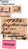 CollectionObject 1506912; 119e8193-8a81-41b5-8174-79b0619086ab: labels (holotype). (CollectionObject).