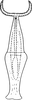 Aedeagus, ventral view on Edwardsiana avellanae (Edwards, 1888): Aedeagus, ventral view. (Observation).