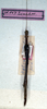 CollectionObject 1559053; NMW 173, f0e066ae-2146-41b1-b860-2ddc9e907786: copyright NMW, Vienna. female (syntype). (CollectionObject).