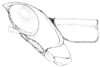 Morsea californica Scudder, 1898: Fig. 229. male, head and pronotum, lateral view. (Otu).