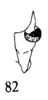 Stylus: (Observation).