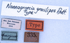 CollectionObject 1534474; 4f7f0f8d-5657-4b6c-a7b5-dbf0d67b384b: labels (holotype). (CollectionObject).
