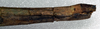 CollectionObject 1561756; 87d264aa-f8a9-4b79-a1ce-da14ec59e867: copyright NMW, Vienna. female: end of abdomen, lateral view (syntype). (CollectionObject).;CollectionObject 1561757; fdc7cb66-eaee-4bf4-8ad1-790ac0b88530: copyright NMW, Vienna. female: end of abdomen, lateral view (syntype). (CollectionObject).;CollectionObject 1561758; d2b399de-d4f8-40d6-8164-fd3d8cc60fe7: copyright NMW, Vienna. female: end of abdomen, lateral view (syntype). (CollectionObject).