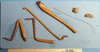 CollectionObject 1538300; 84f5d405-0c44-495e-a8cc-3f136cf53141: female, legs (holotype). (CollectionObject).
