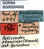 CollectionObject 1501955; 1cd7a821-569c-4adc-9a31-1f2f2b7f63a5: labels (syntype). (CollectionObject).