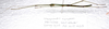 CollectionObject 1584635; 2e1ae28c-ca4e-419b-9df2-373e1842ae4a: (CollectionObject).