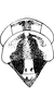 Head: Head, pro-, and mesothorax. (Observation).